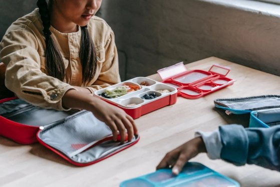 Top Rated Lunch Boxes for Toddlers: The Best to Look For