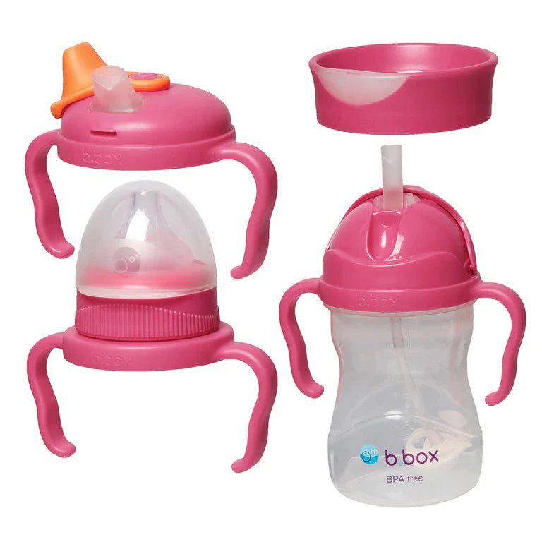 b.box | Transition Value Pack | 4 Cups in 1 Bundle - Creative Kids Lab