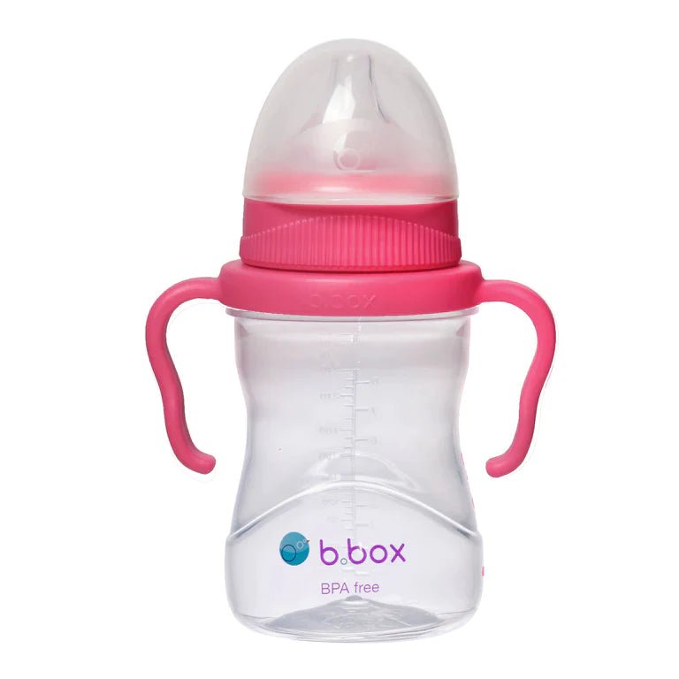 b.box | Transition Value Pack | 4 Cups in 1 Bundle - Creative Kids Lab