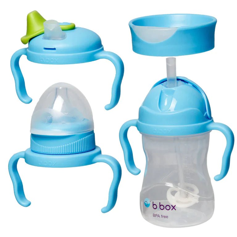 b.box | Transition Value Pack | 4 Cups in 1 Bundle - Creative Kids Lab