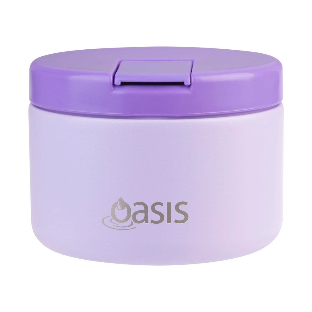 Oasis insulated food jar flask purple