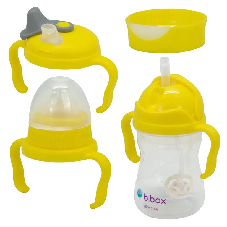 b.box | Transition Value Pack | 4 Cups in 1 Bundle - Creative Kids Lab