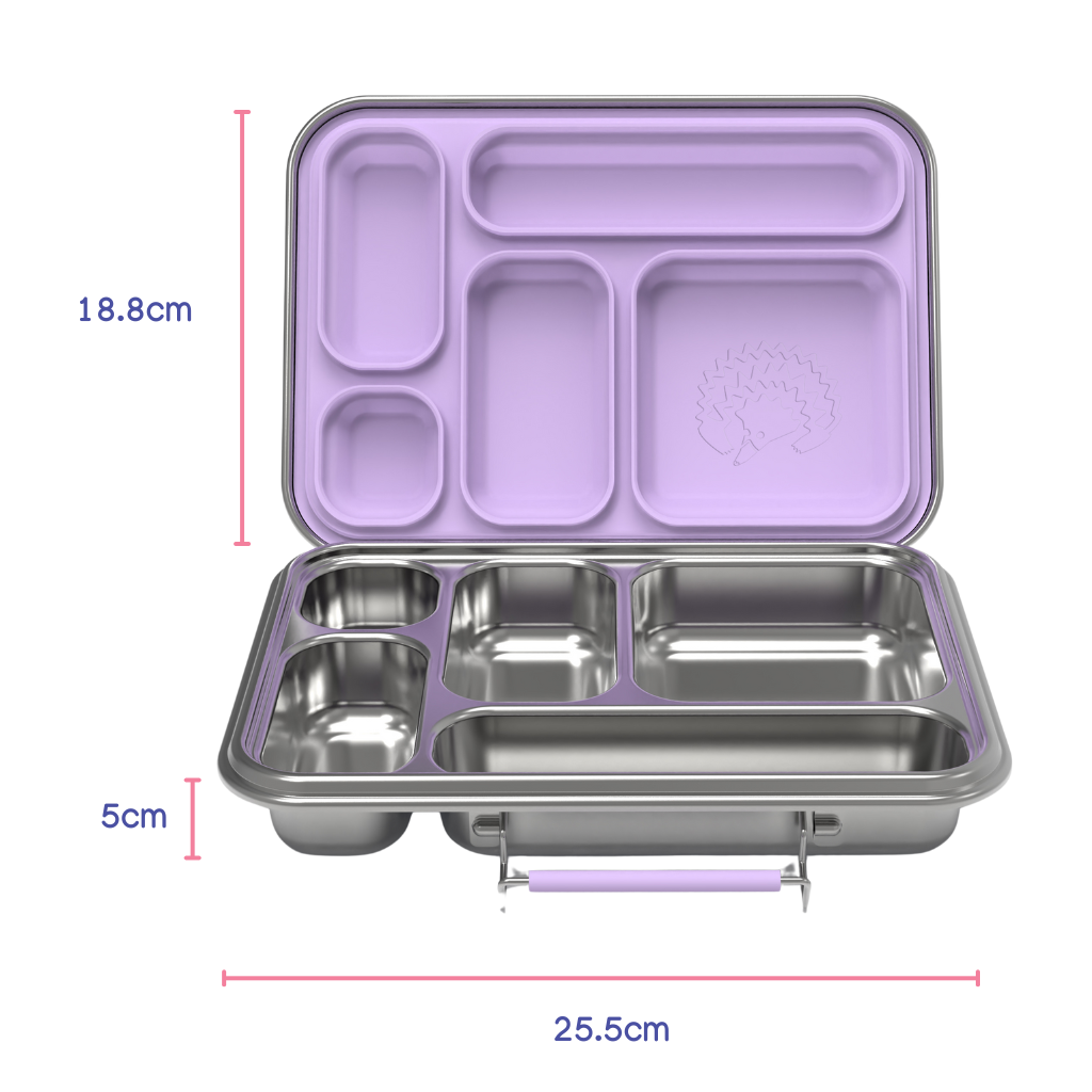 Oli Eve stainless steel bento 5 lunchbox dimensions