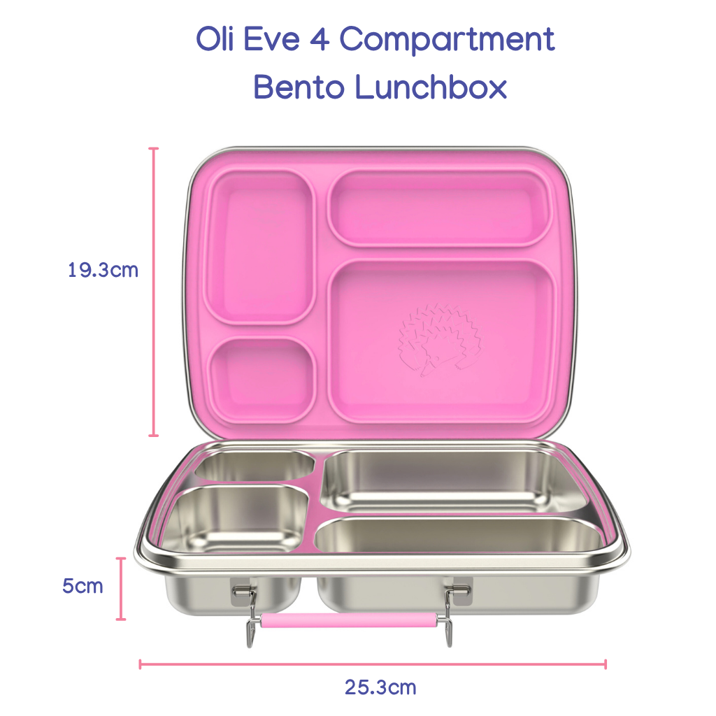 Oli Eve 4 compartment stainless steel bento kids lunchbox with dimensions